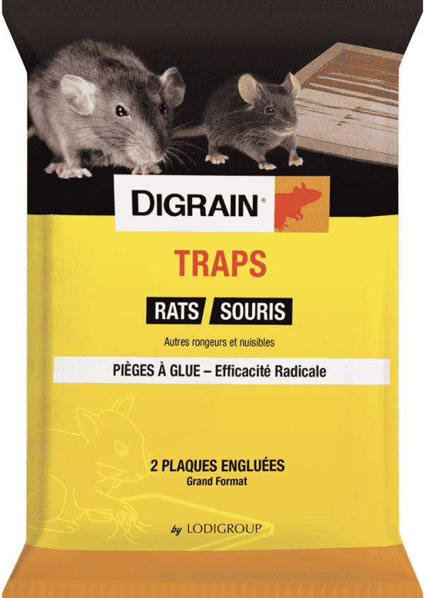 Traps DIGRAIN 1 DIGRAIN Traps 728x1024 1