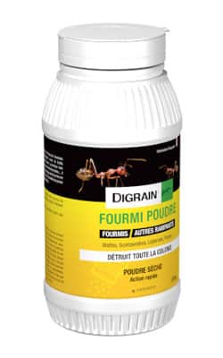 Poudre Anti-Fourmis DIGRAIN 1 Poudre fourmis