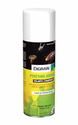 Pyrèthre DIGRAIN 1 aerosol Pyrethre