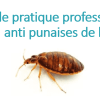 Kit Anti-Punaises de Lit 3 guide e1636621757538
