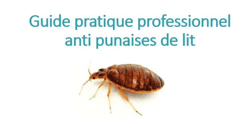 Kit Anti-Punaises de Lit | guide-e1636621757538.png guide-e1636621757538.png