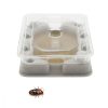 Pièges de surveillance ou monitoring punaises de lits (lot de 4) 2 pieges de surveillance ou monitoring pour punaises de lits lot de 12 1