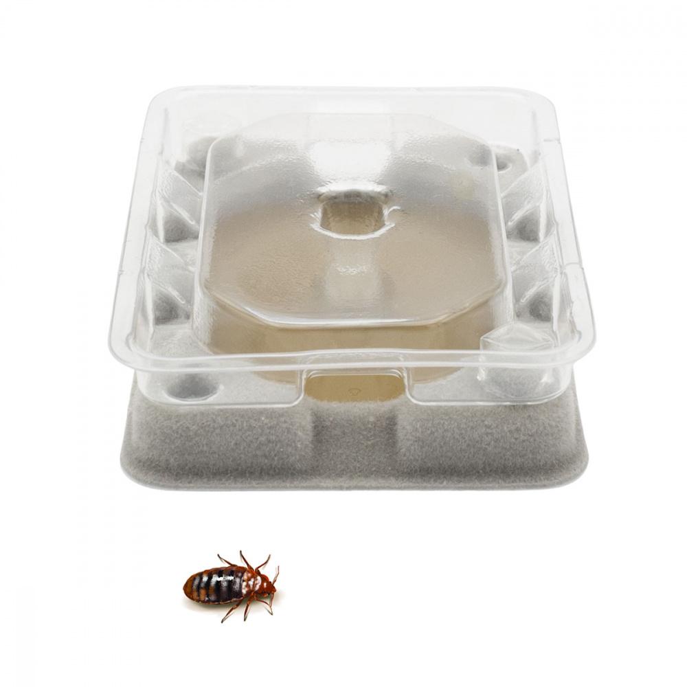 Pièges de surveillance ou monitoring punaises de lits (lot de 4) 1 pieges de surveillance ou monitoring pour punaises de lits lot de 12 1